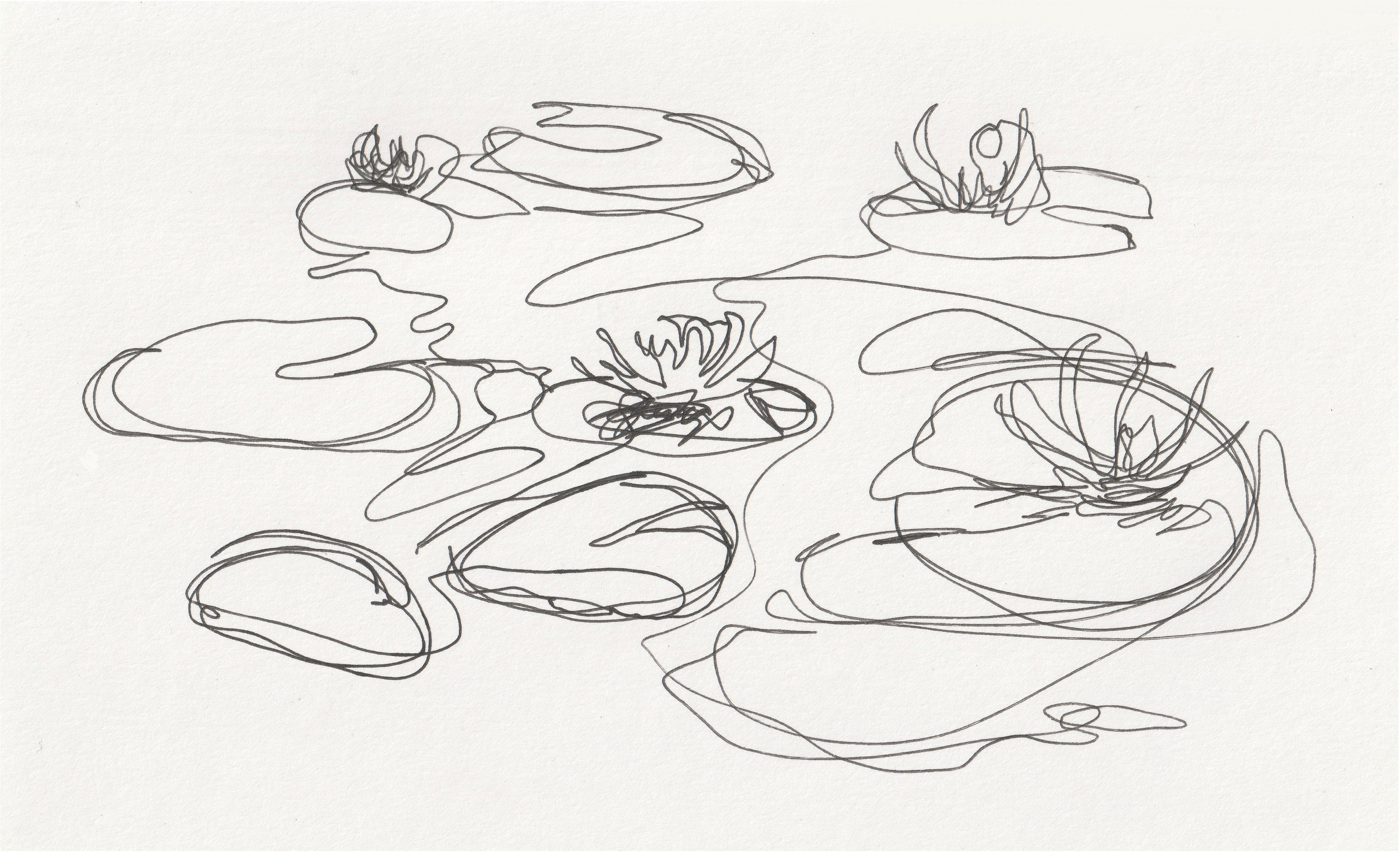 Website bsutt lily pads