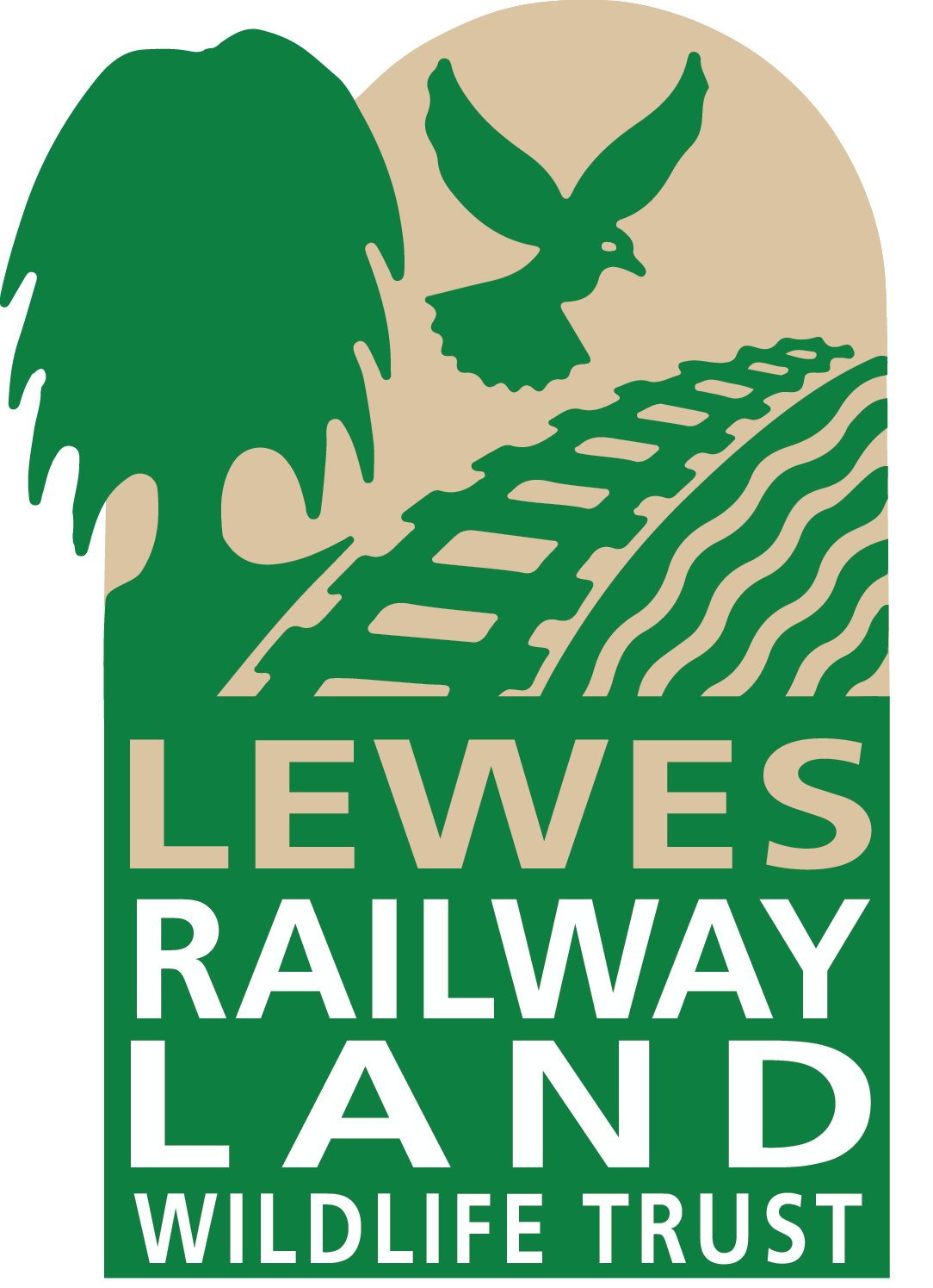 RLWT transparent background1